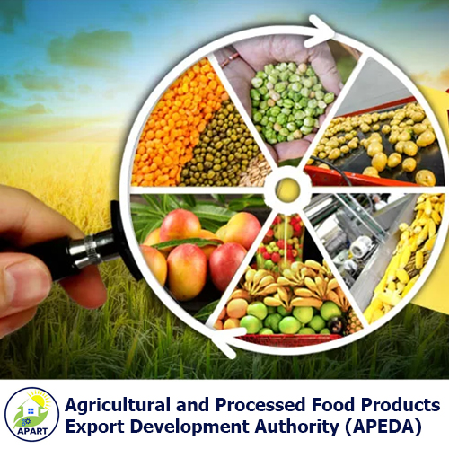 Arunachal Pradesh Energy Development Agency